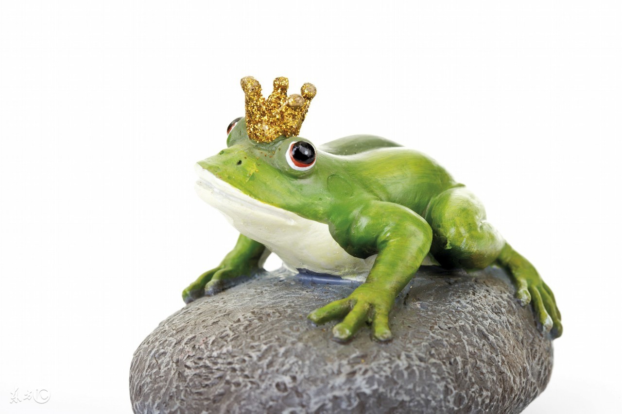 大象恃强凌弱踩死雏雁,大雁联合苍蝇青蛙智取强敌,最终以弱胜强