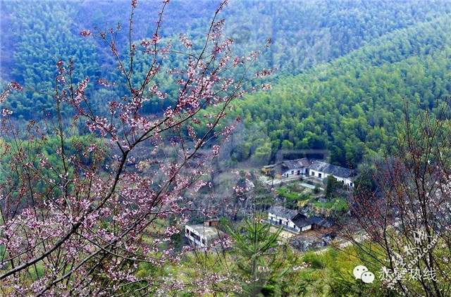 来赤壁吧，我带着你，你带着钱！