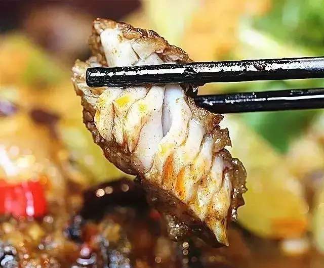 正宗清远鸡石锅鱼,清远猪肚鸡石锅鱼