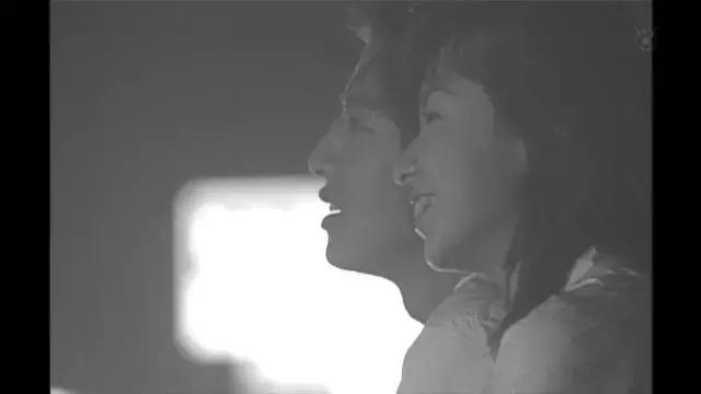 罗子君是家庭主妇,罗子君家庭主妇