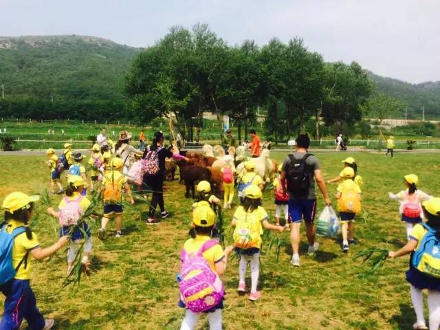 大连牧场旅游景点,大连铭湖牧场附近旅游