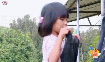 闪亮的爸爸第一季的全部视频,闪亮的爸爸最感人的一期视频