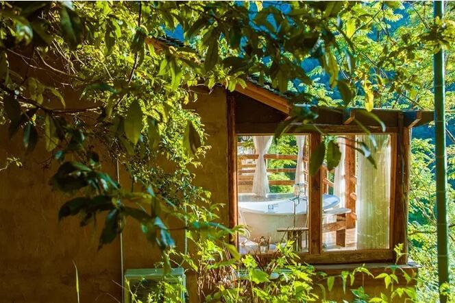 一对夫妻，在《阿凡达》的取景地，改造老宅，收获了完美的人生