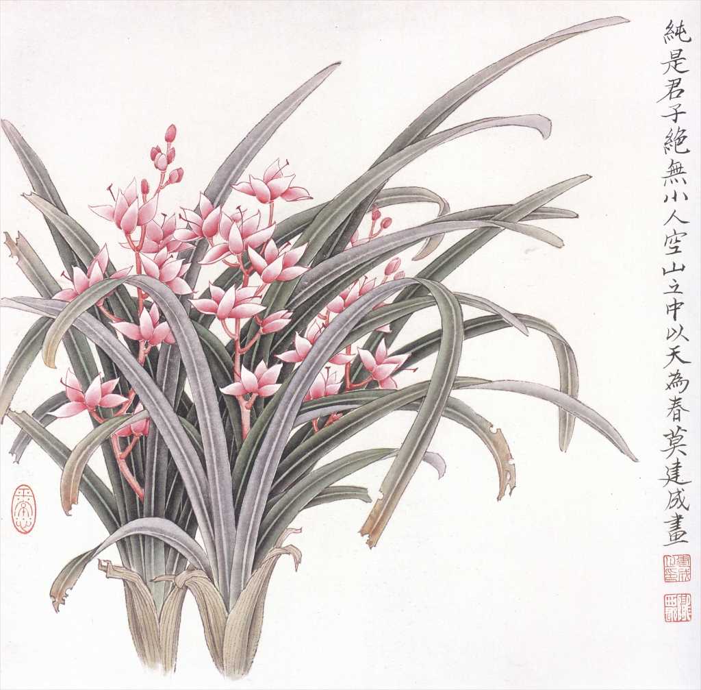 各种常见的花语,一些花的花语