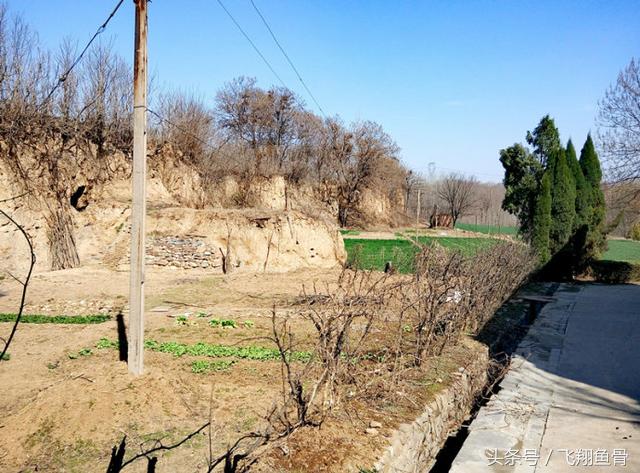 洛阳偃师有几个镇,洛阳偃师简介