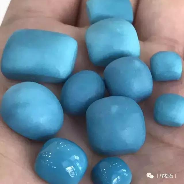 湖北松菌最多的地方,湖北松是什么意思