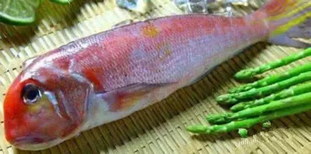 《一啸渔乐》常见的海鱼你认识多少?