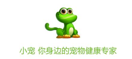 养猫后晚期癌症居然不治而愈!养宠物有这么神奇吗?