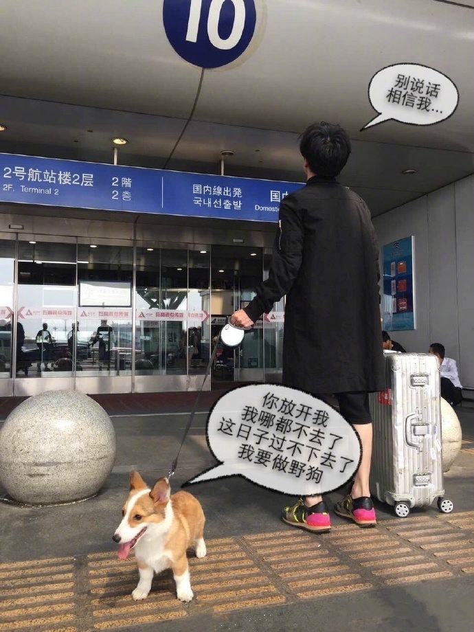 娱乐圈明星胡歌,娱乐圈男明星胡歌