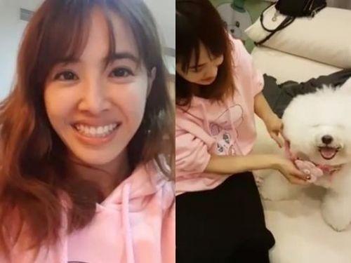 娱乐圈明星胡歌,娱乐圈男明星胡歌