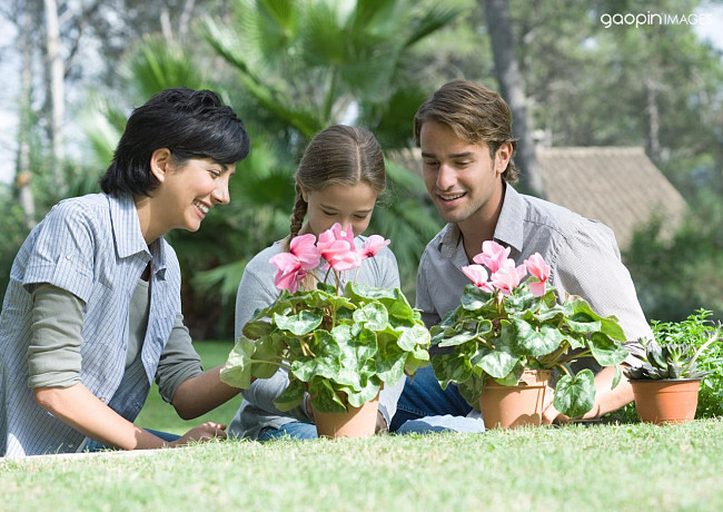 留学美国高中寄宿家庭,留学美国住寄宿家庭原因