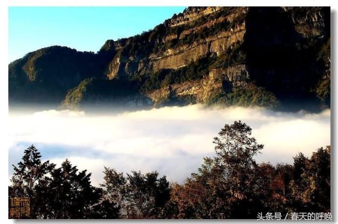 台湾阿里山仙境美如画,台湾省阿里山风景