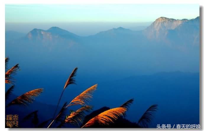 台湾阿里山仙境美如画,台湾省阿里山风景