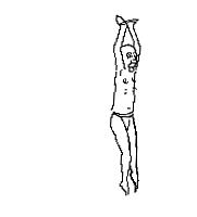 明星追星也疯狂彭于晏杨紫,朴灿烈鹿晗蔡徐坤权志龙张艺兴