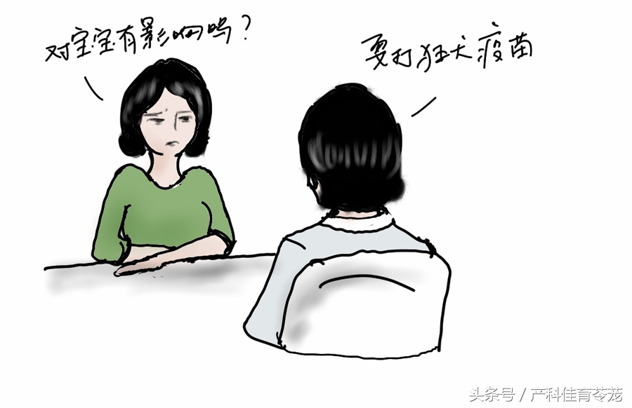 怀孕以后还能养狗吗,怀孕以后还能养狗呗