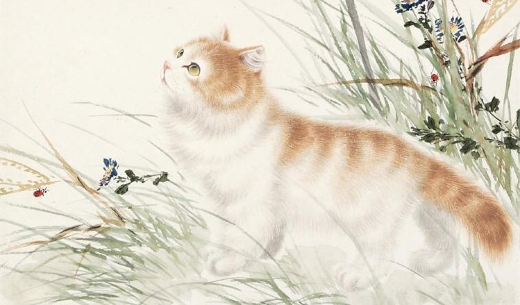 闅鹃亾鍦熺尗灏辫琚珜寮冨悧,鍦熺尗鐪熺殑寰堝彲鐖卞悧