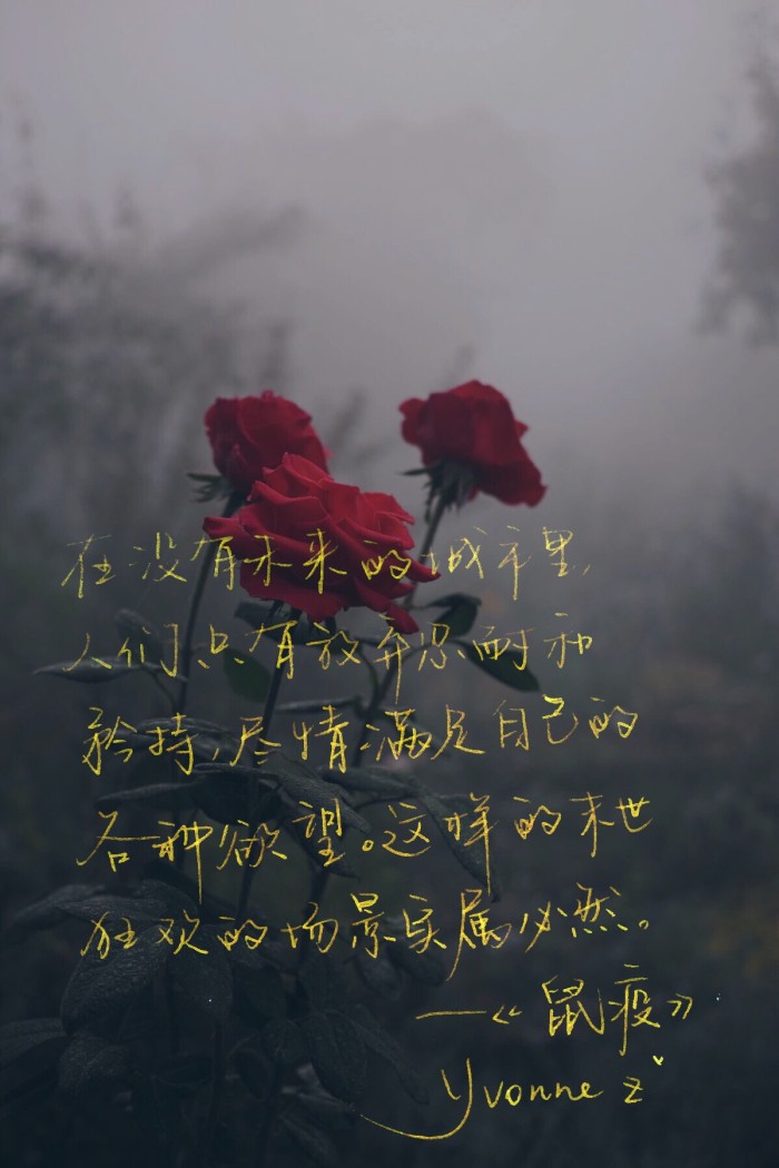 我喜欢在故事里旅行,终遇你忠于你