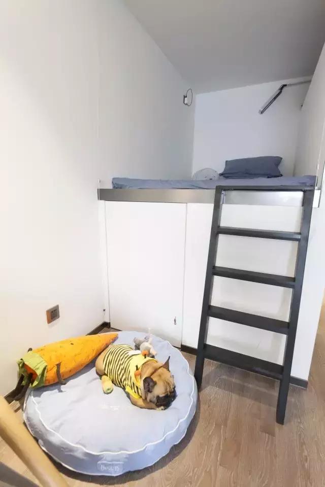 36㎡打造乐活居，你什么样，生活就什么样！