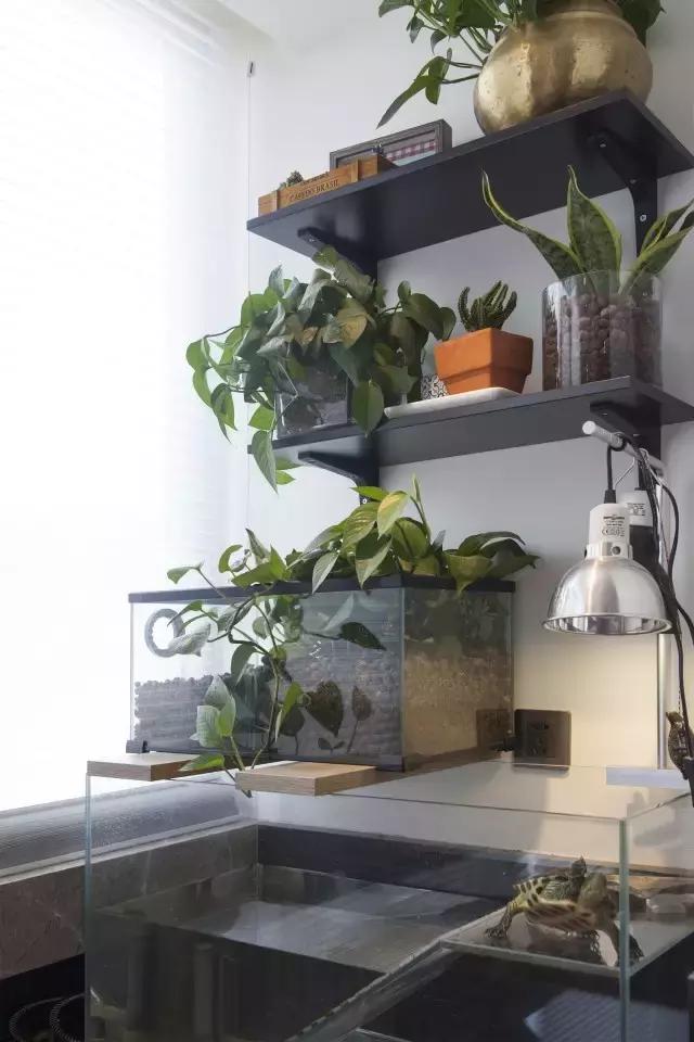 36㎡打造乐活居，你什么样，生活就什么样！