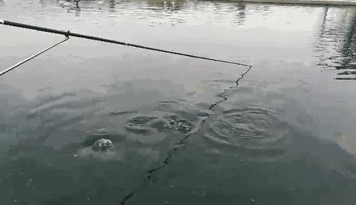 隐藏在昆明村庄里的3家烤羊店，老司机用3个月才找到的