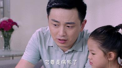 遇事要学会求助,遇事想办法处理好