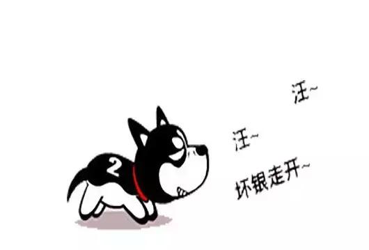 打骂狗狗,打骂狗狗有什么影响