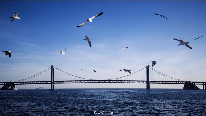 入门级便捷旅行三脚架推荐,爬山便携三脚架