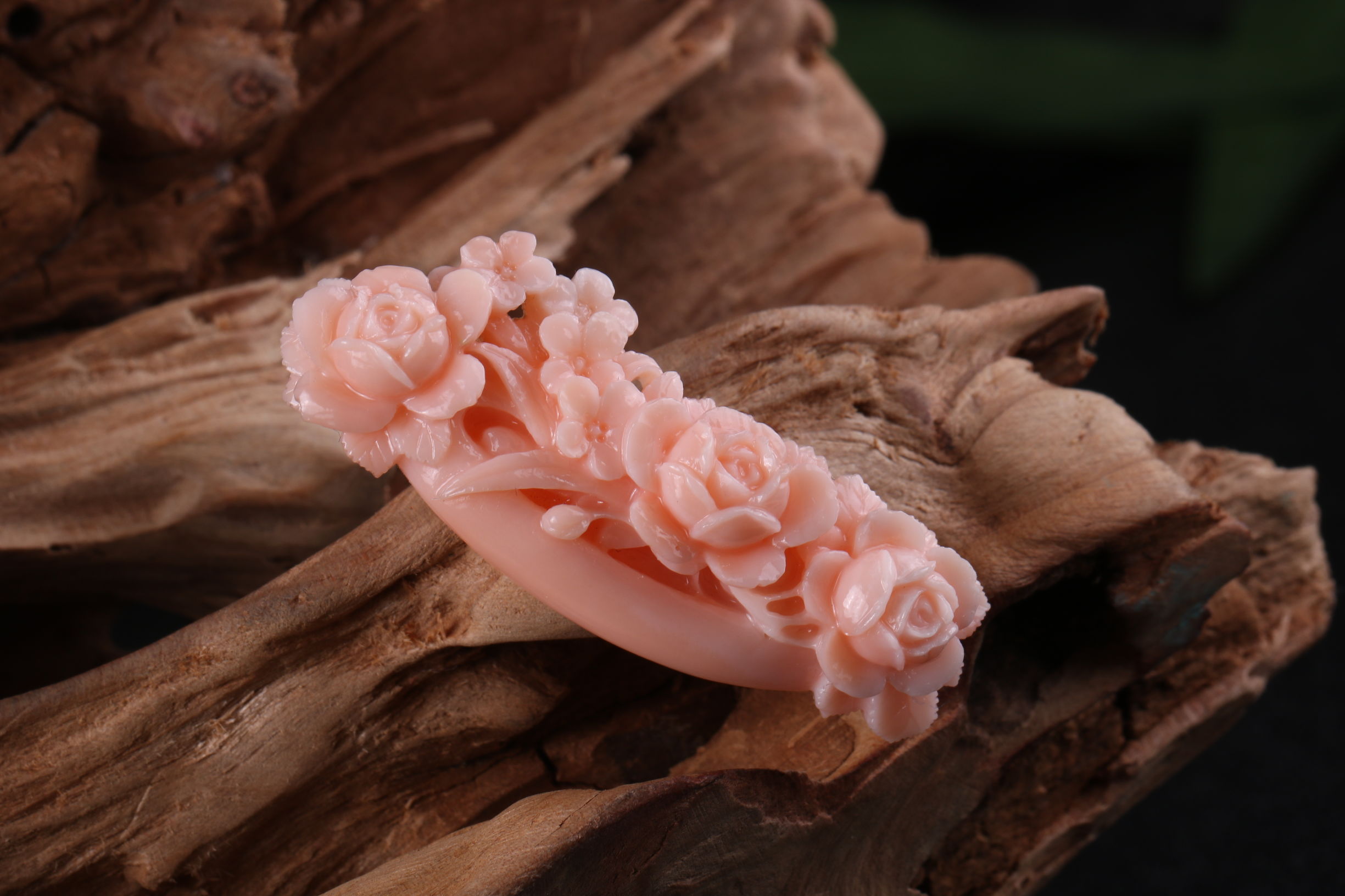 有机宝石珊瑚介绍,珊瑚宝石是什么