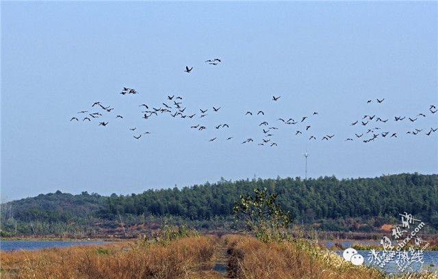来赤壁吧，我带着你，你带着钱！