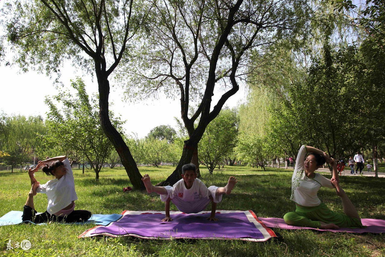 易知易行养生法图片,岳美中偏方治大病