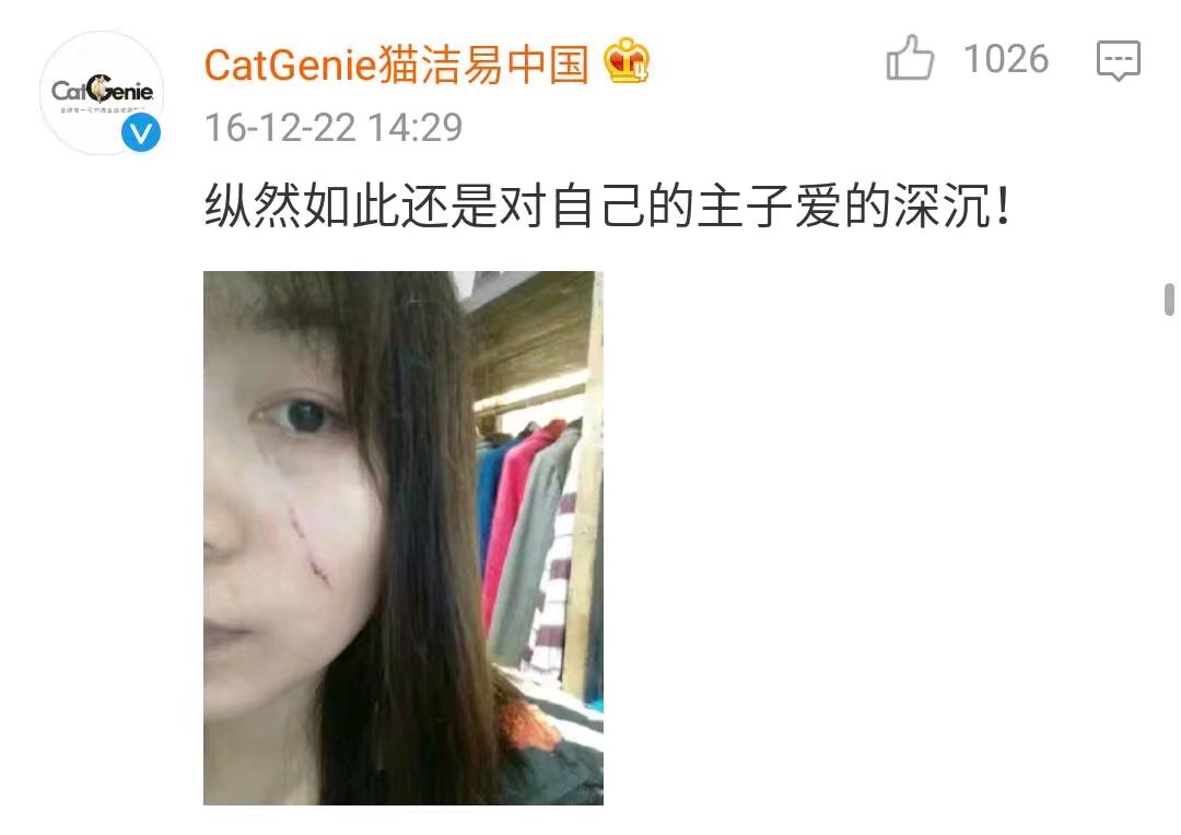 撸猫会不会上瘾,撸猫的正确撸法