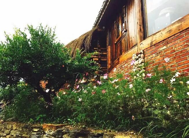 一对夫妻，在《阿凡达》的取景地，改造老宅，收获了完美的人生