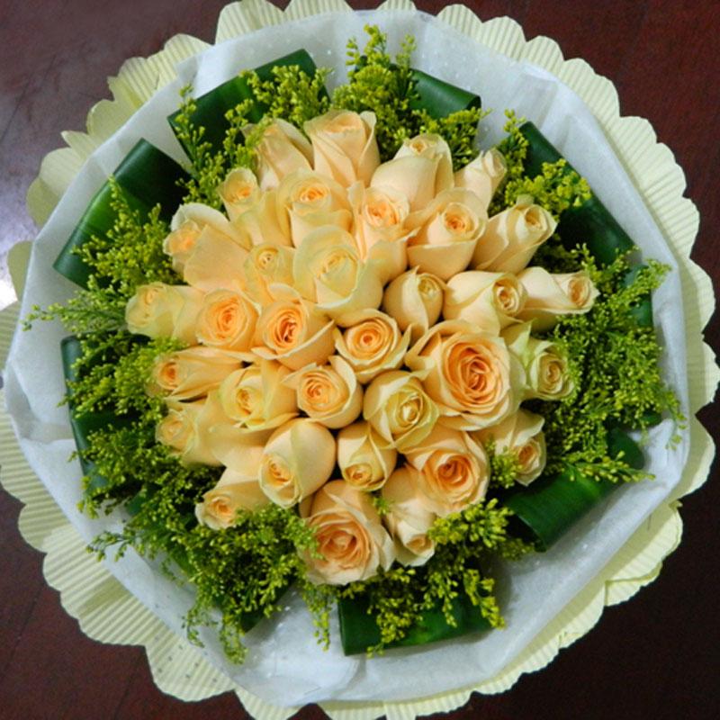 各种常见的花语,一些花的花语