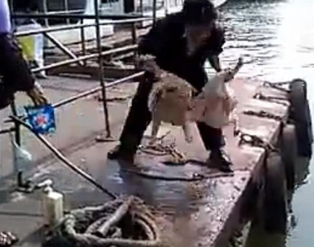 洗狗的方式,主人给狗狗洗澡太搞笑了