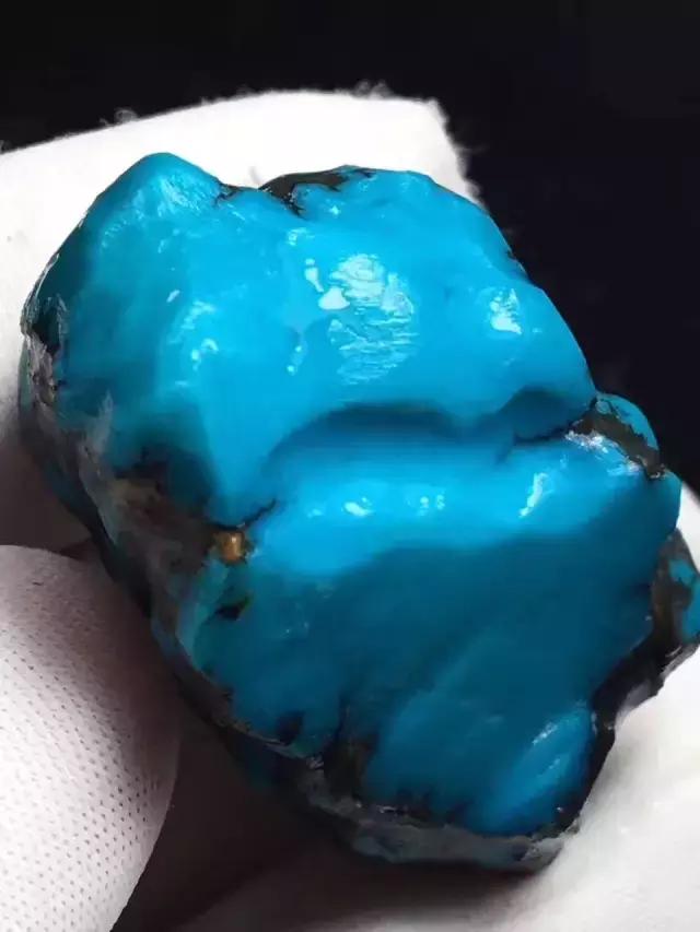 湖北松菌最多的地方,湖北松是什么意思