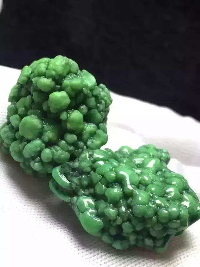 湖北松菌最多的地方,湖北松是什么意思