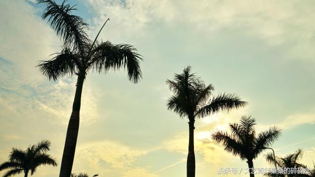 此地与我有缘-再见闽南