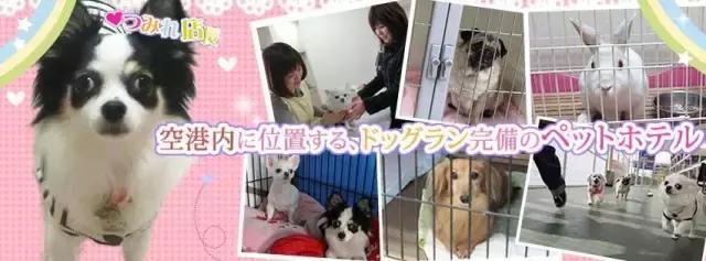 请收藏!一份超级实用的航班延误“娱乐指南”