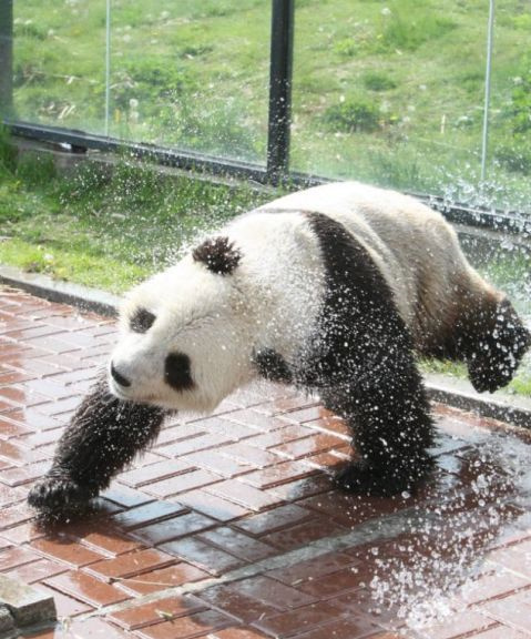 40度高温停电,40度高温停电又停水