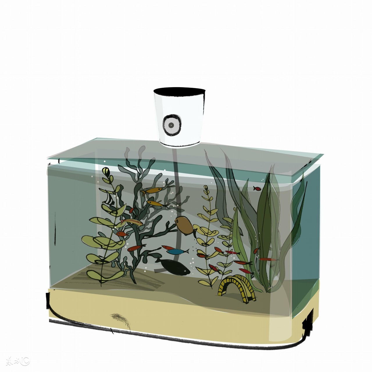 闻香识美人在线阅读,闻香识美人探戈