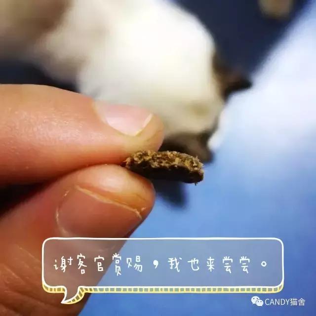 体验报告,猫生烘焙猫粮测评