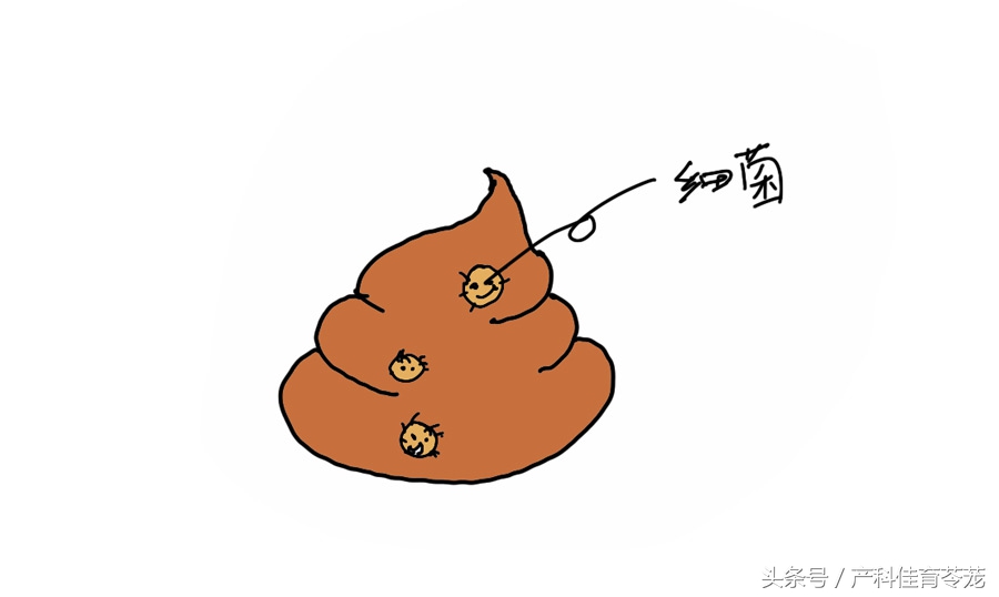 怀孕以后还能养狗吗,怀孕以后还能养狗呗