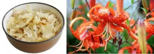 君若识草草为宝——话不尽这神奇的民间草药!