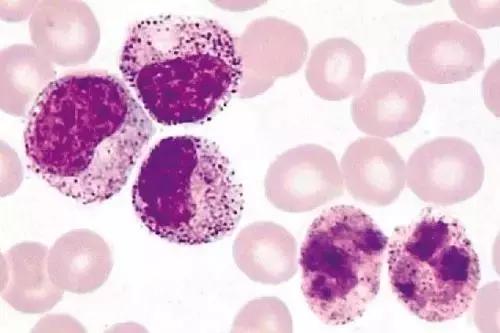 *霜砒**毒药还是药品,它治疗白血病,到底靠谱不靠谱?