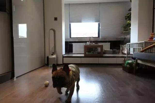 36㎡打造乐活居，你什么样，生活就什么样！