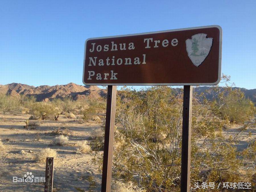 飞往美国的城市有哪些,飞往美国都经过哪里