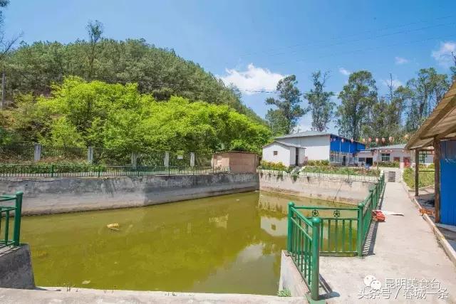 隐藏在昆明村庄里的3家烤羊店，老司机用3个月才找到的