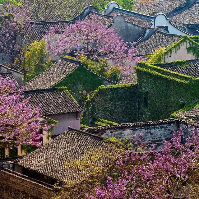乌镇景区五一需要购票嘛,乌镇旅游必去十大景点门票价格