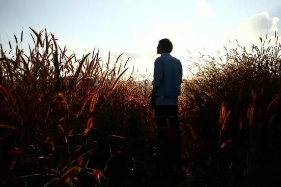 自媒体朱晨华:我们为什么要创业、是不是适合创业?