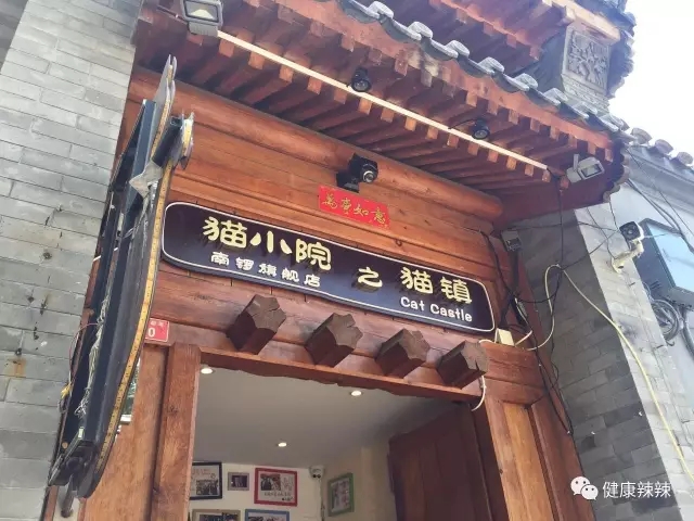 跟着辣妹逛胡同之二，带你看看20万的猫~菊儿胡同走起